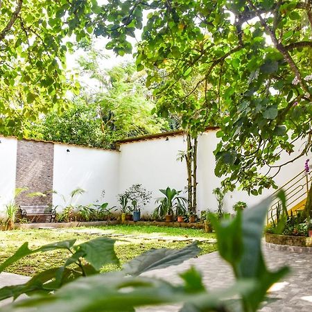 Green House Tarapoto Bagian luar foto