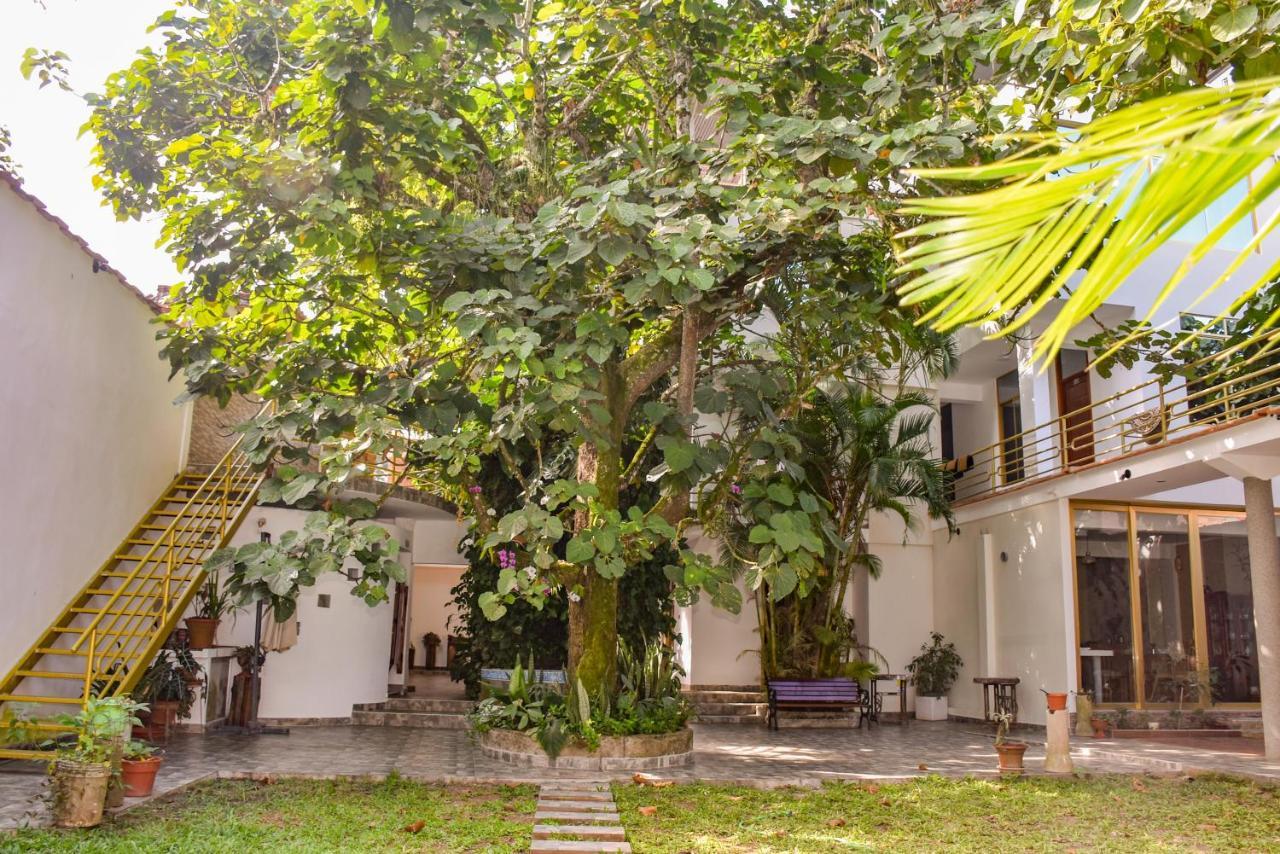 Green House Tarapoto Bagian luar foto