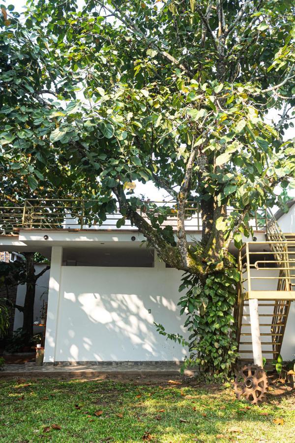 Green House Tarapoto Bagian luar foto