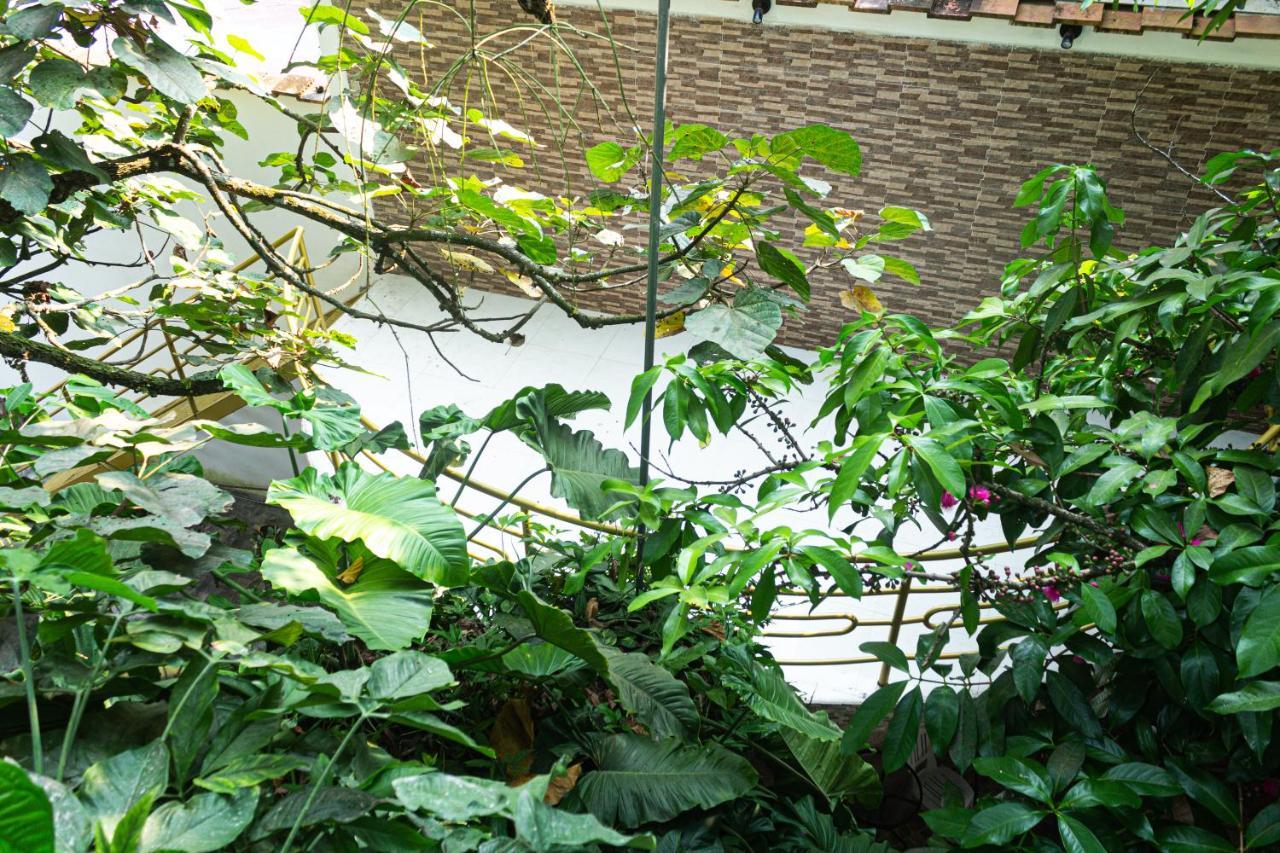 Green House Tarapoto Bagian luar foto