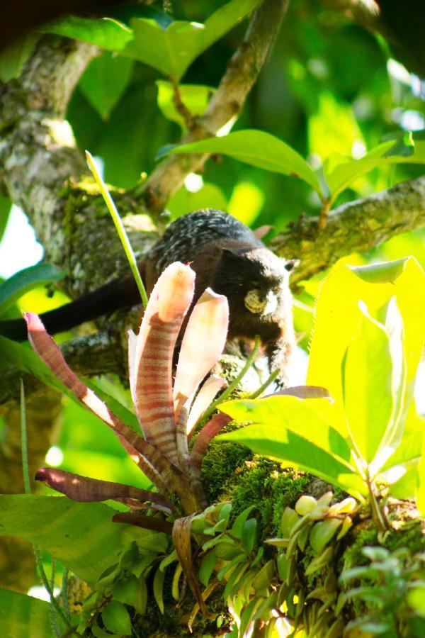 Green House Tarapoto Bagian luar foto